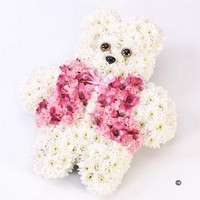 Teddy Bear Tribute   Pink